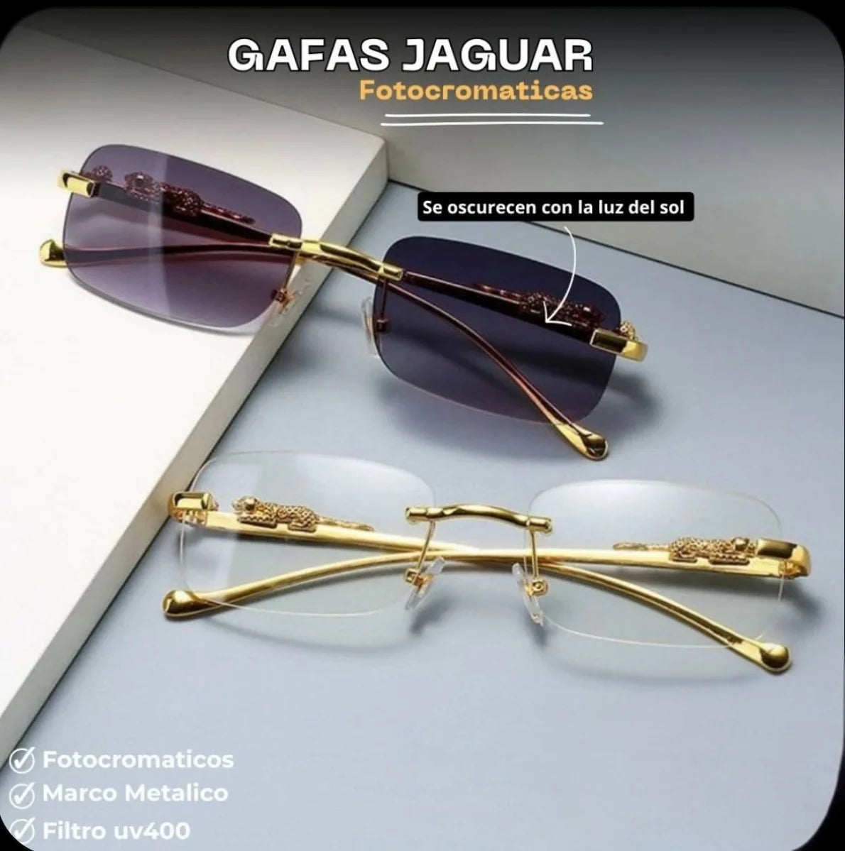 Características principales de las Gafas Jaguar