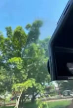 Foto de 