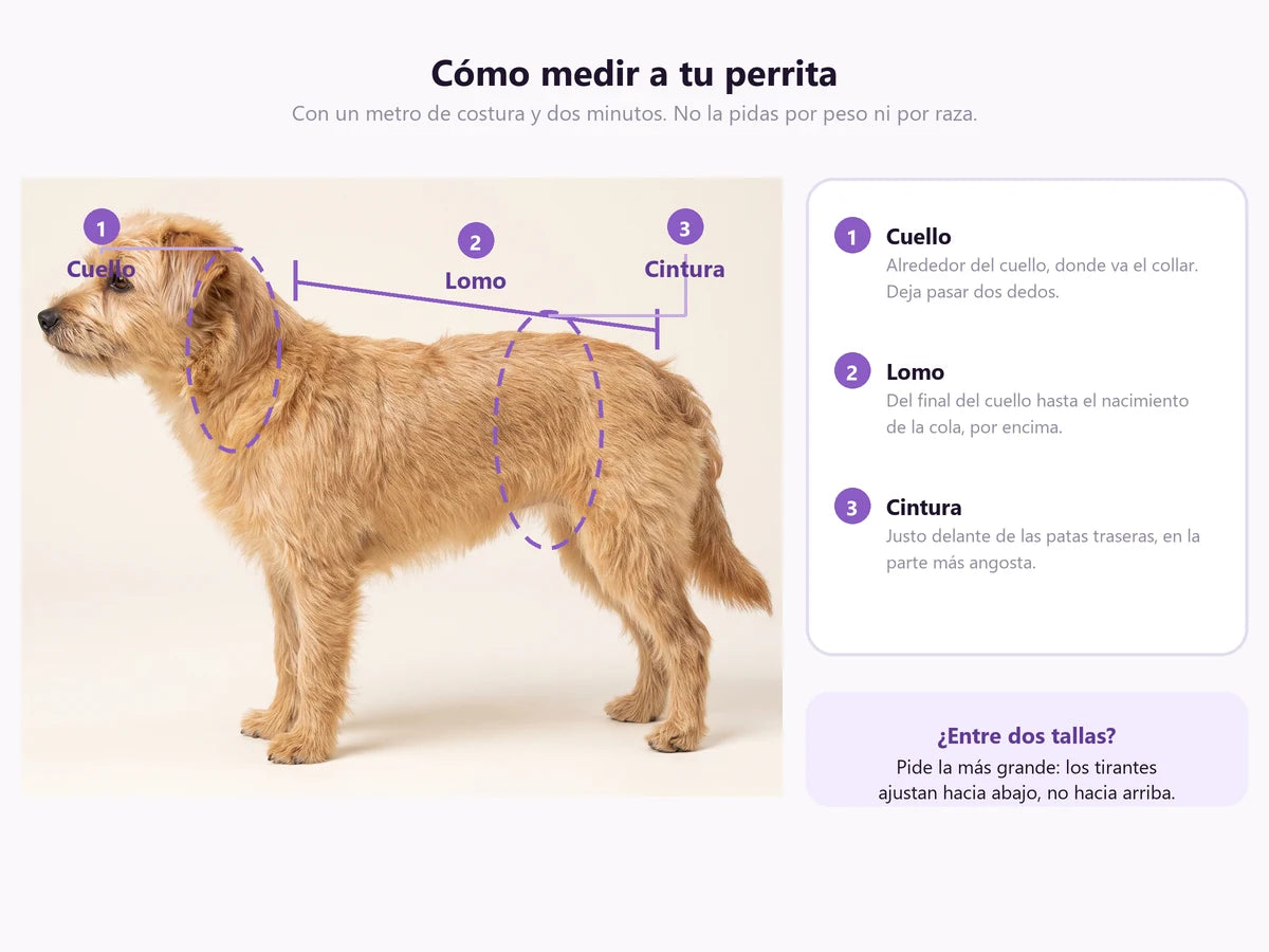 Mídela una vez y pide la talla correcta