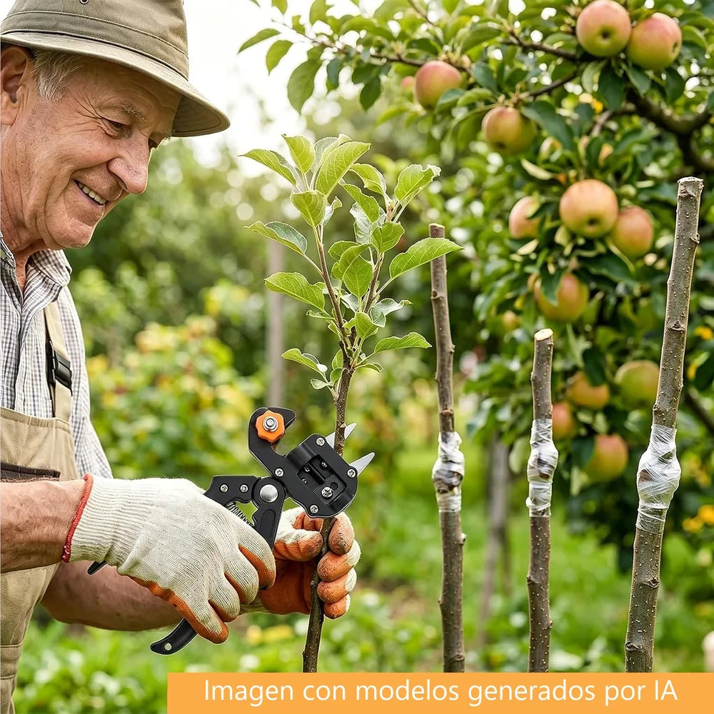 Injertando un frutal joven en el huerto con la tijera de injertar